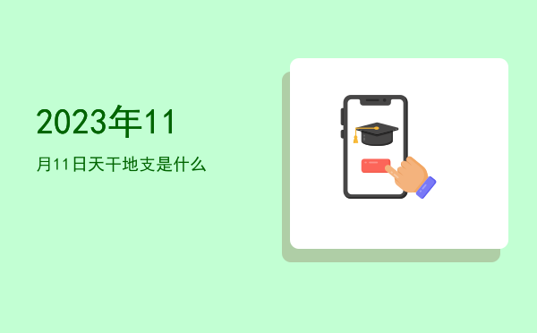 2023年11月11日天干地支是什么