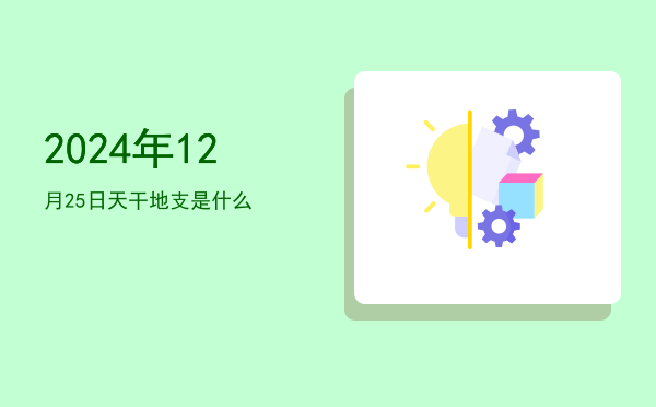 2024年12月25日天干地支是什么