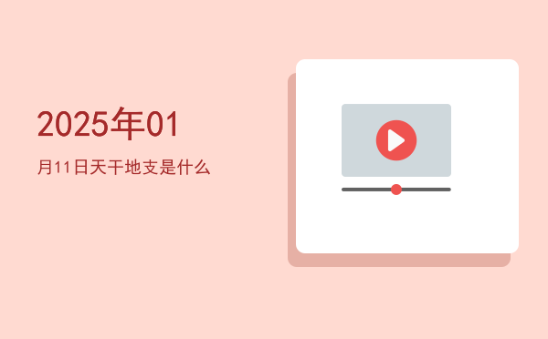 2025年01月11日天干地支是什么