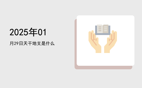 2025年01月29日天干地支是什么