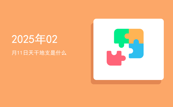 2025年02月11日天干地支是什么