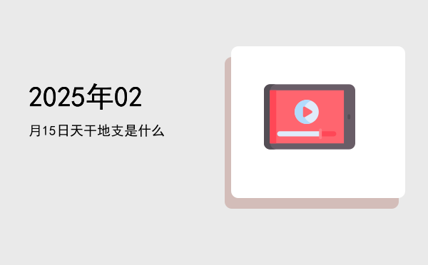 2025年02月15日天干地支是什么