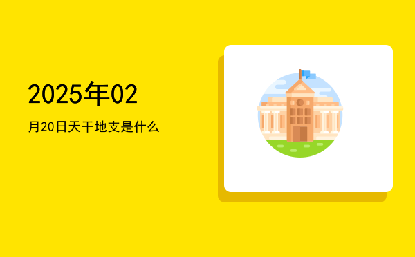 2025年02月20日天干地支是什么