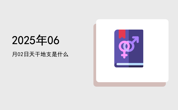 2025年06月02日天干地支是什么
