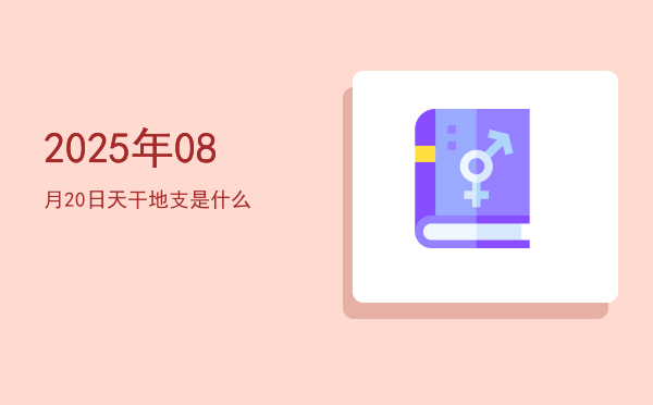 2025年08月20日天干地支是什么