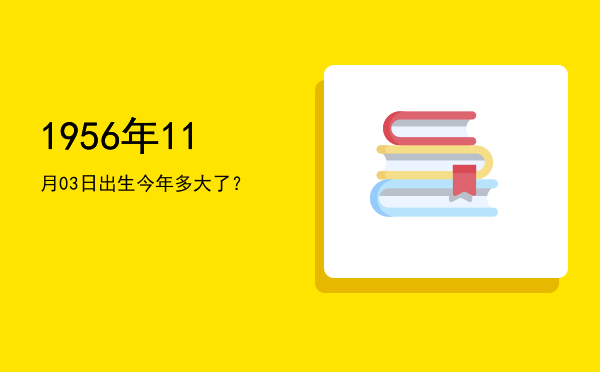 1956年11月03日出生今年多大了?