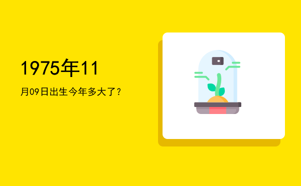 1975年11月09日出生今年多大了?