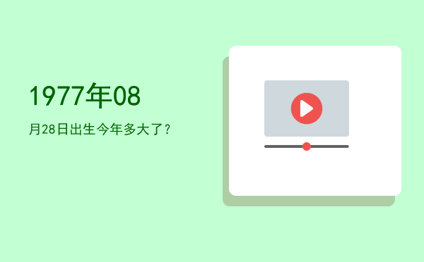 1977年08月28日出生今年多大了?