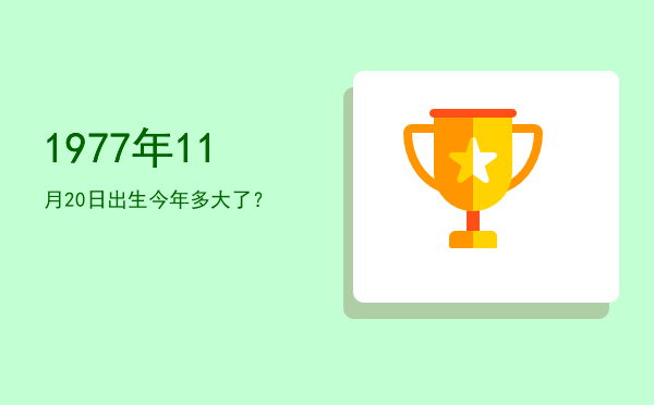 1977年11月20日出生今年多大了?