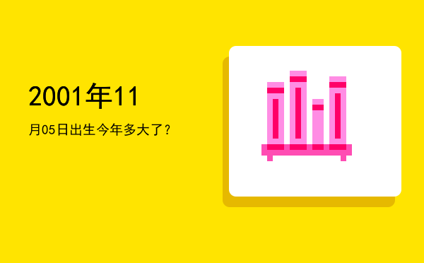 2001年11月05日出生今年多大了?