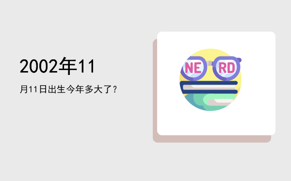 2002年11月11日出生今年多大了?