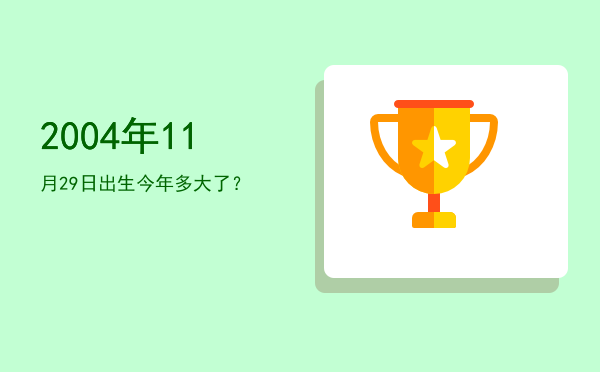 2004年11月29日出生今年多大了?