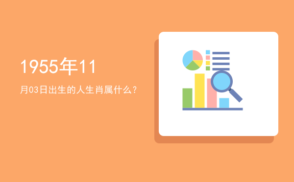 1955年11月03日出生的人生肖属什么?