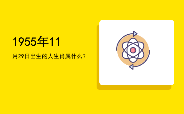 1955年11月29日出生的人生肖属什么?