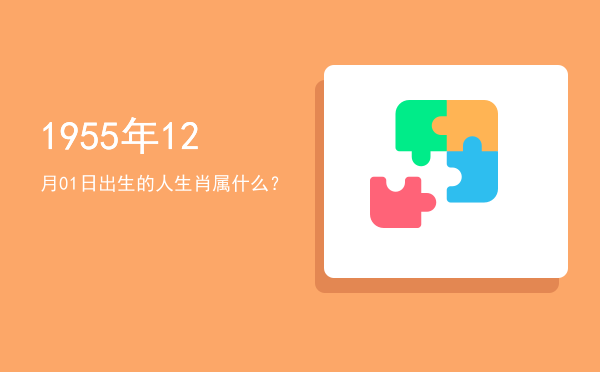 1955年12月01日出生的人生肖属什么?
