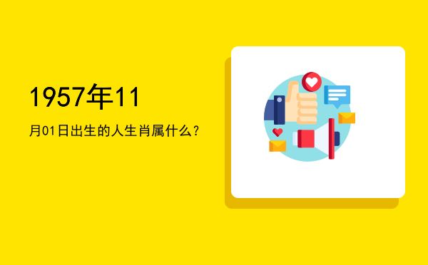 1957年11月01日出生的人生肖属什么?