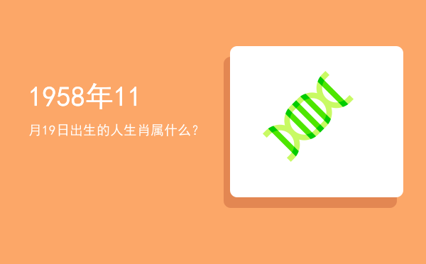 1958年11月19日出生的人生肖属什么?