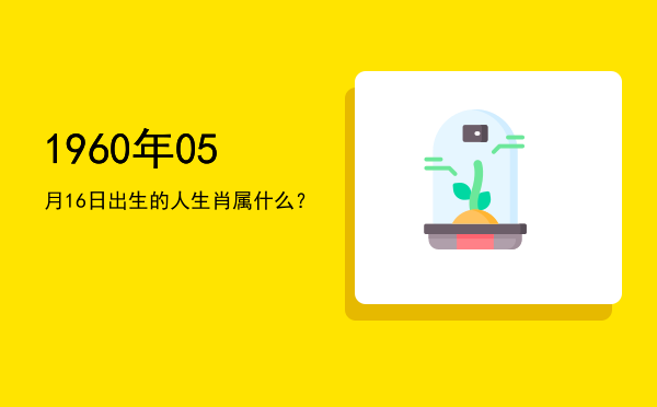 1960年05月16日出生的人生肖属什么?