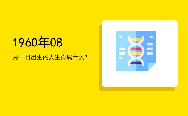 1960年08月11日出生的人生肖属什么?