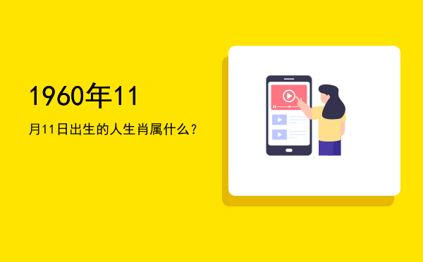 1960年11月11日出生的人生肖属什么?