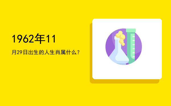 1962年11月29日出生的人生肖属什么?