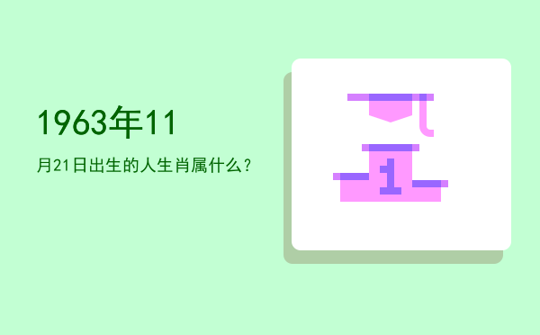 1963年11月21日出生的人生肖属什么?