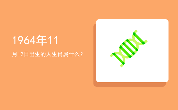 1964年11月12日出生的人生肖属什么?