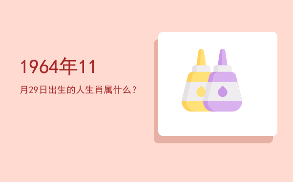 1964年11月29日出生的人生肖属什么?