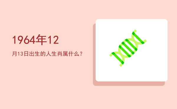 1964年12月13日出生的人生肖属什么?