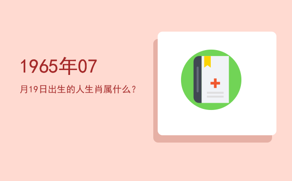 1965年07月19日出生的人生肖属什么?