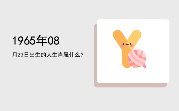 1965年08月23日出生的人生肖属什么?
