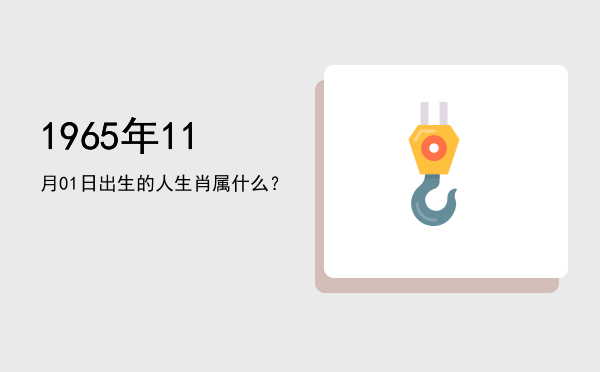 1965年11月01日出生的人生肖属什么?