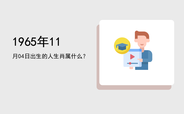 1965年11月04日出生的人生肖属什么?