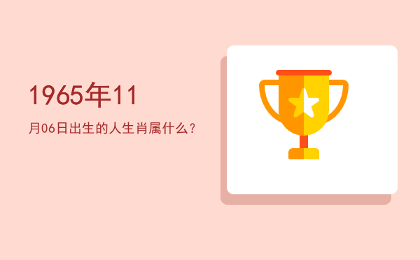 1965年11月06日出生的人生肖属什么?