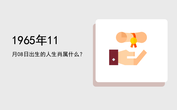 1965年11月08日出生的人生肖属什么?