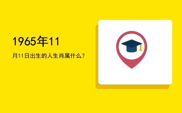 1965年11月11日出生的人生肖属什么?