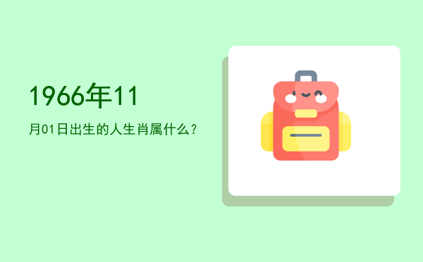 1966年11月01日出生的人生肖属什么?