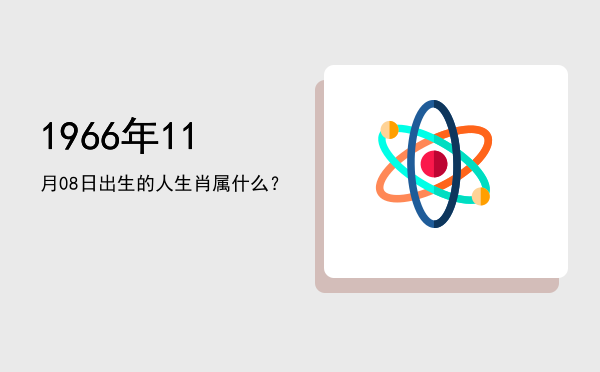 1966年11月08日出生的人生肖属什么?