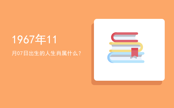 1967年11月07日出生的人生肖属什么?