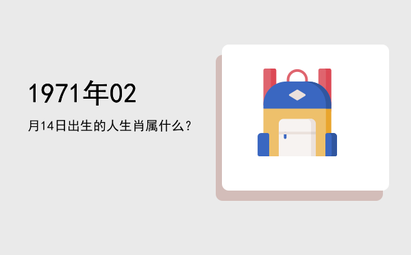 1971年02月14日出生的人生肖属什么?