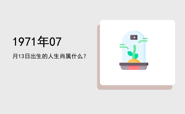 1971年07月13日出生的人生肖属什么?