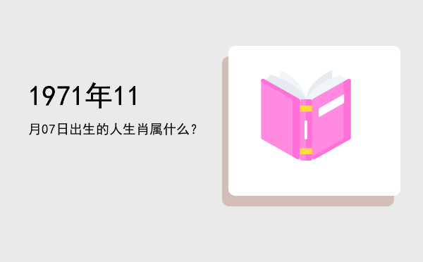 1971年11月07日出生的人生肖属什么?
