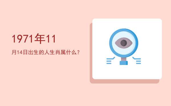 1971年11月14日出生的人生肖属什么?