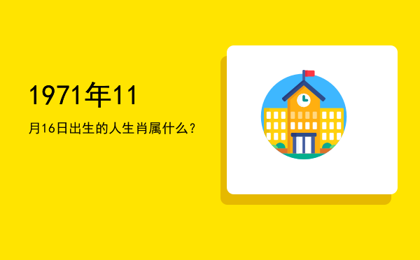 1971年11月16日出生的人生肖属什么?