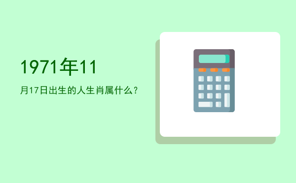 1971年11月17日出生的人生肖属什么?