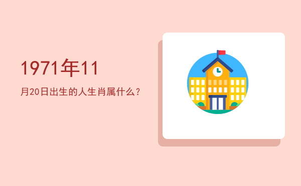 1971年11月20日出生的人生肖属什么?