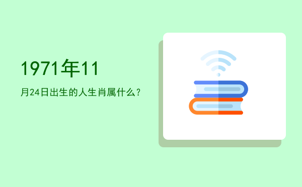 1971年11月24日出生的人生肖属什么?