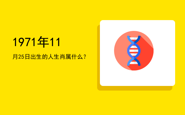 1971年11月25日出生的人生肖属什么?