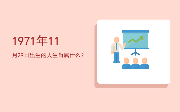 1971年11月29日出生的人生肖属什么？