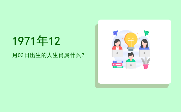 1971年12月03日出生的人生肖属什么?
